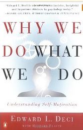 Why we do what we do