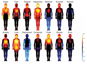 Somatopic Emotion Map