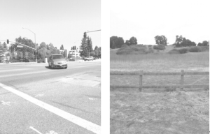 Urban vs Rural Walks