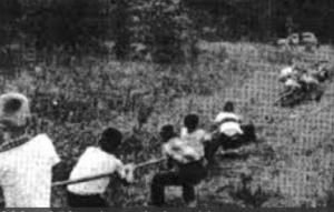 Muzafer Sherif - Robber's Cave